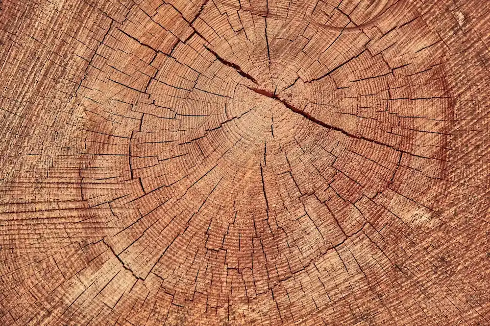 Timber
