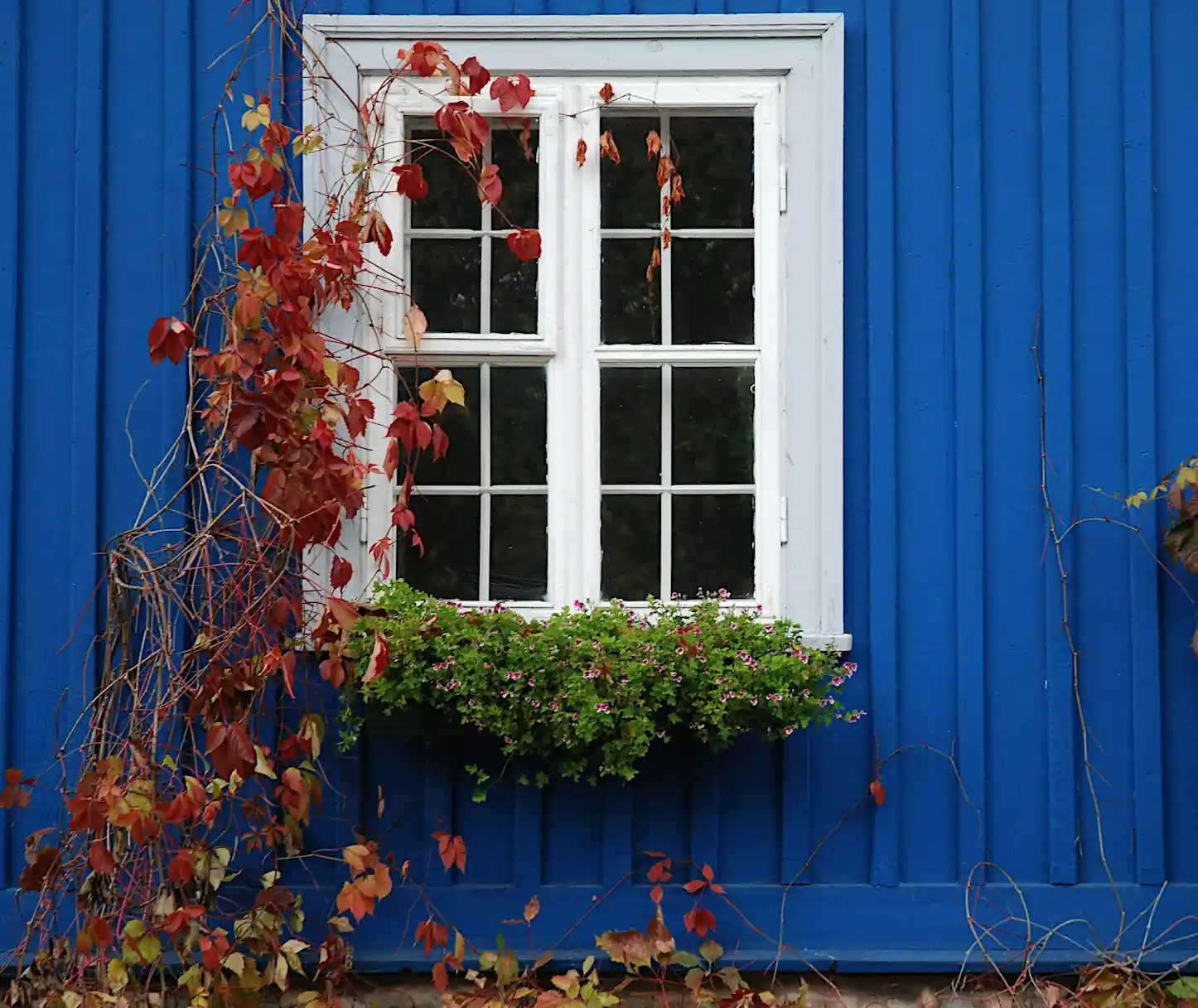 fasadmålning
